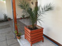 Jardinera Rustica con Palmera Chilena